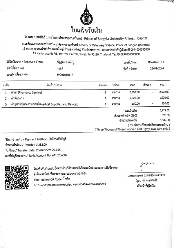 ดราม่า มอลลี่ 