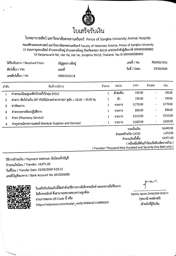 ดราม่า มอลลี่ 