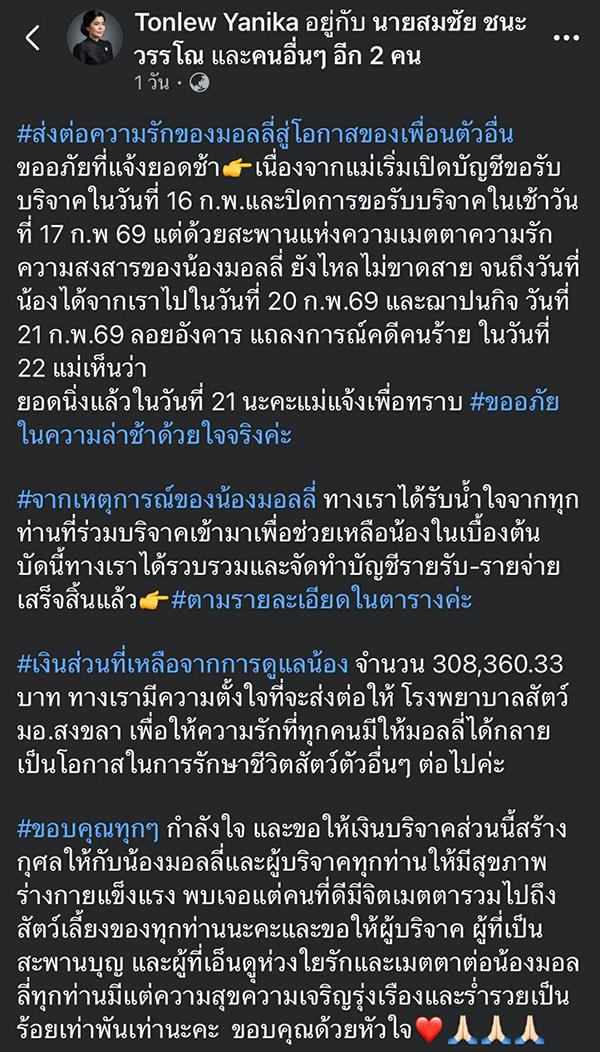 ดราม่า มอลลี่ 