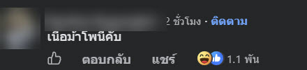 เนื้อสีรุ้ง