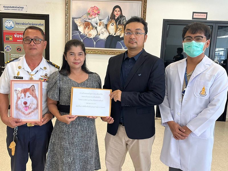 ดราม่า มอลลี่ 