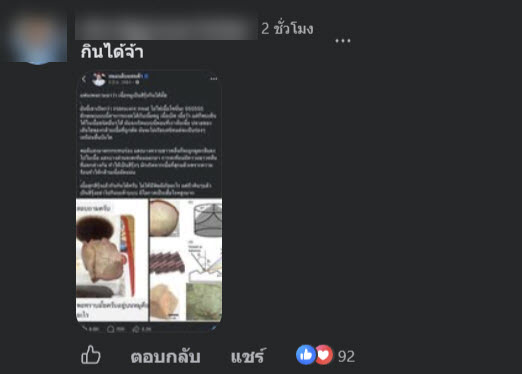 เนื้อสีรุ้ง
