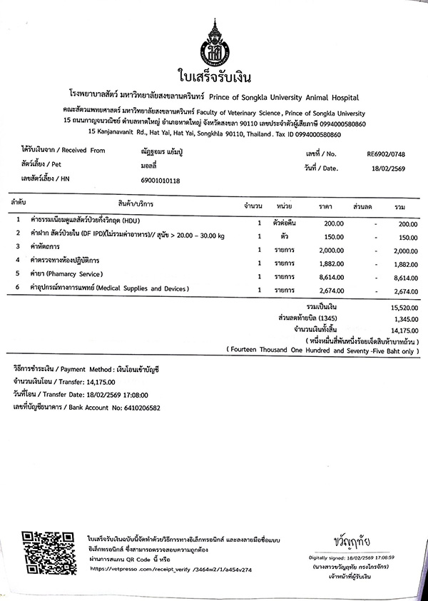 ดราม่า มอลลี่ 