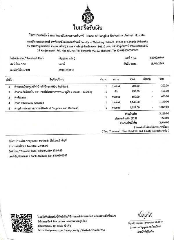 ดราม่า มอลลี่ 