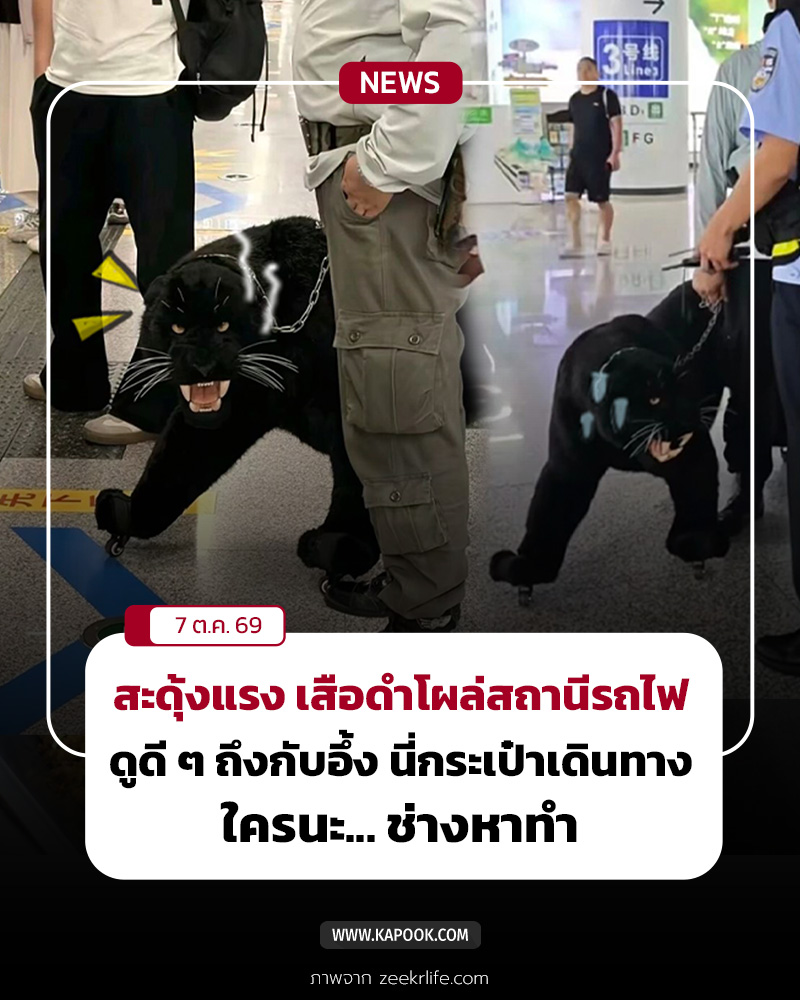 เสือดำ เสือดำ
