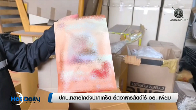 อาหารแมวเถื่อน