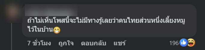 หมูแคระ