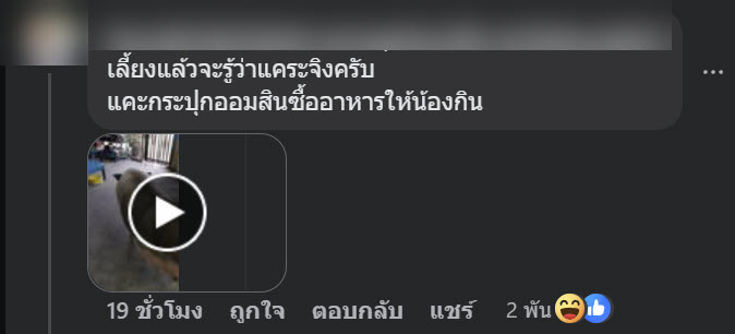 หมูแคระ