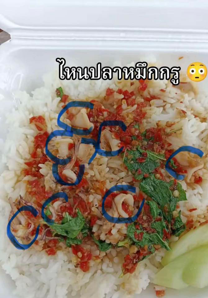กระเพราปลาหมึก