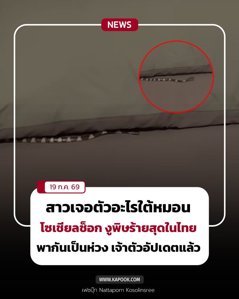 งูเข้าบ้าน งูเข้าบ้าน