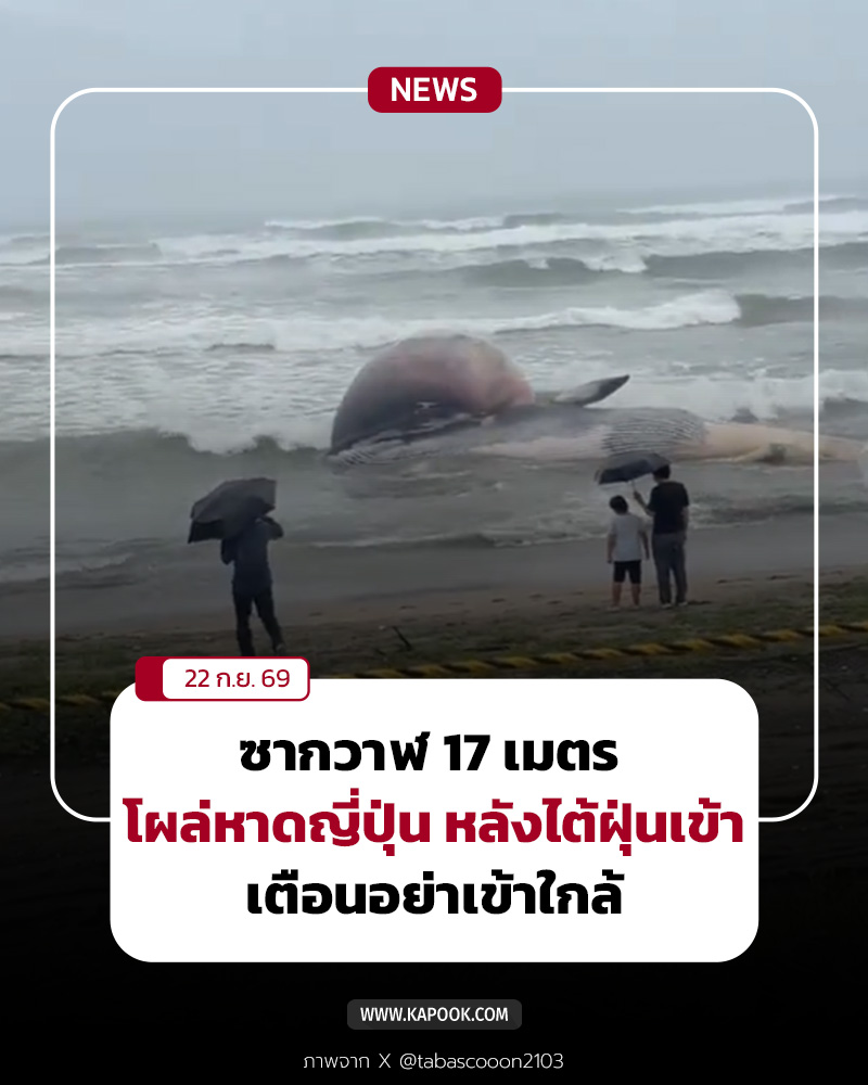วาฬเกยตื้น