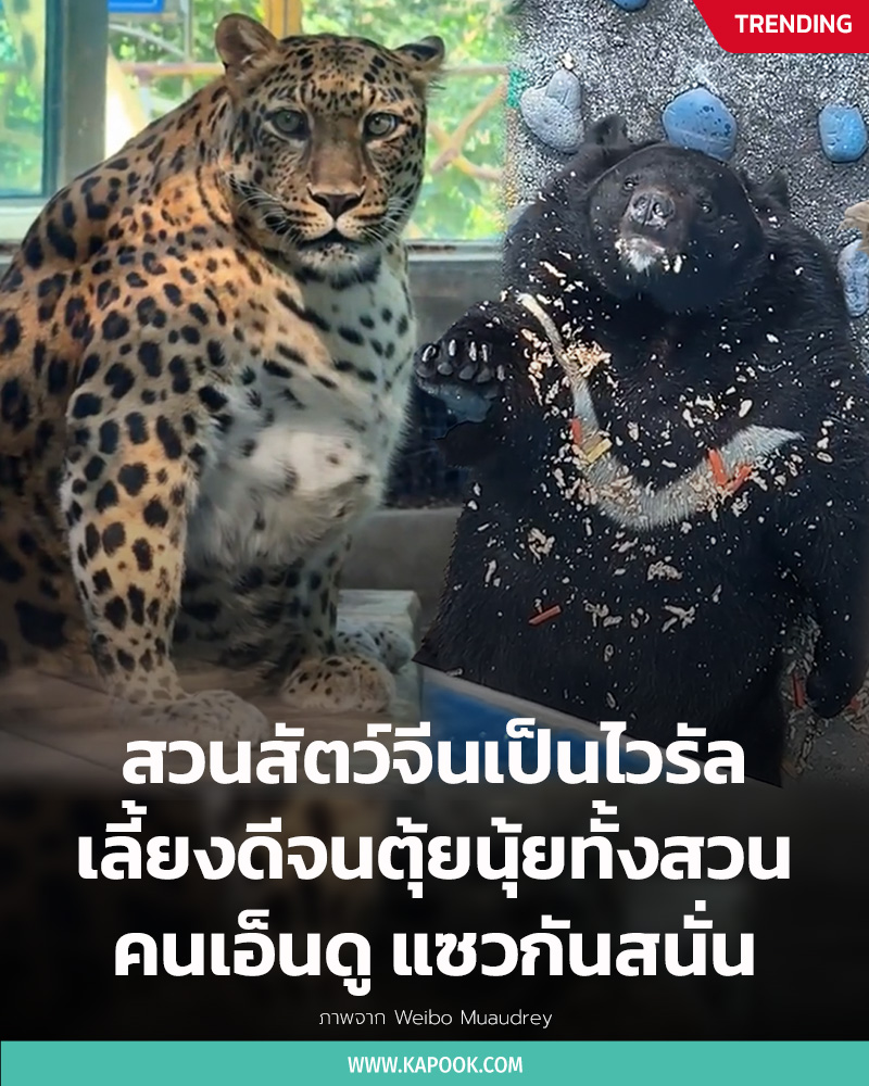 สวนสัตว์จีน