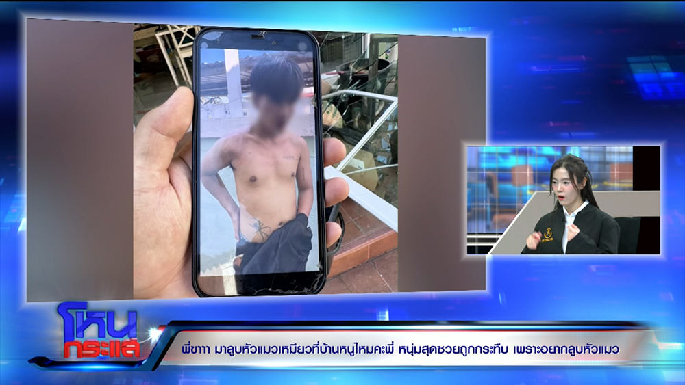 สาวชวนหนุ่มดูแมว ก่อนผัวเธอกระทืบ