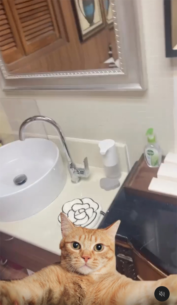 ห้องน้ำแปลก