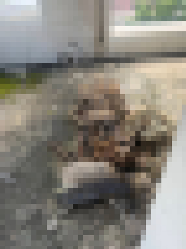 คนเร่ร่อนเก็บโทรศัพท์ เอาไปถ่ายโครงกระดูก