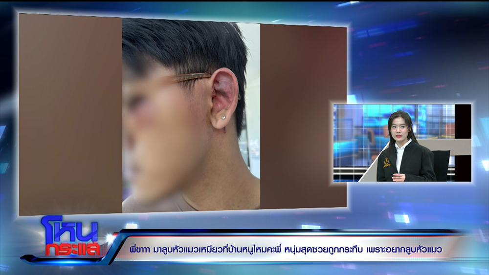 สาวชวนหนุ่มดูแมว ก่อนผัวเธอกระทืบ