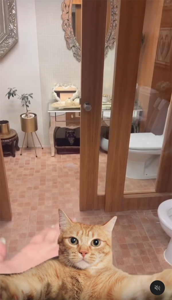 ห้องน้ำแปลก