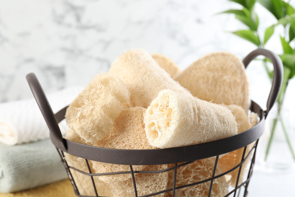 บวบขัดตัว