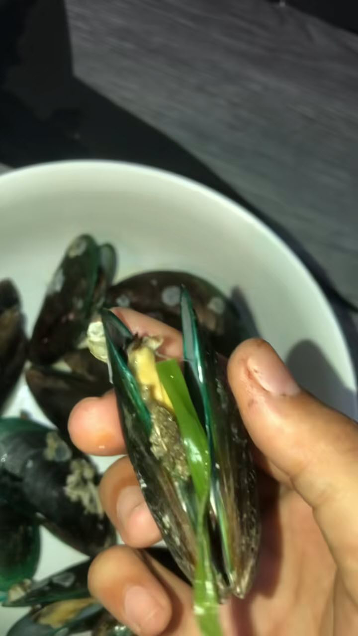 หนอนจากหอยแมงภู่