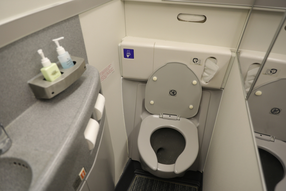 ฝันร้ายกลางฟ้า เครื่องบินส้วมตันทั้งลำ