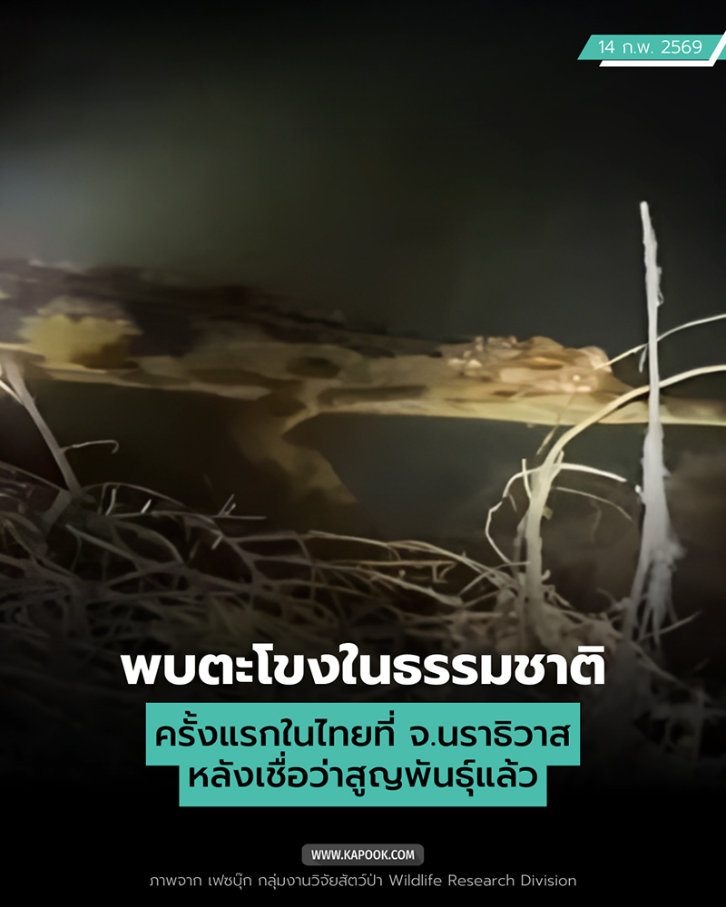 พบตะโขงในธรรมชาติ ครั้งแรกในไทย