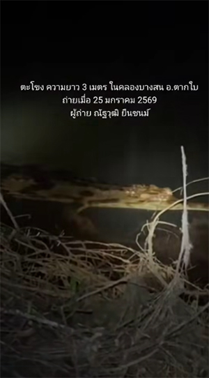 พบตะโขงในธรรมชาติ ครั้งแรกในไทย