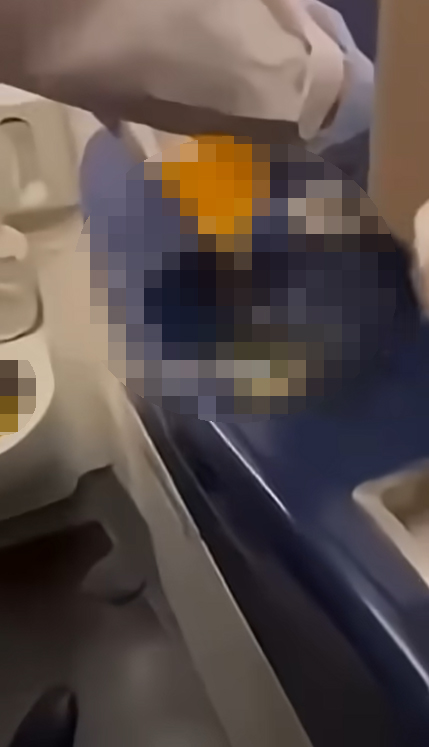 ฝันร้ายกลางฟ้า เครื่องบินส้วมตันทั้งลำ