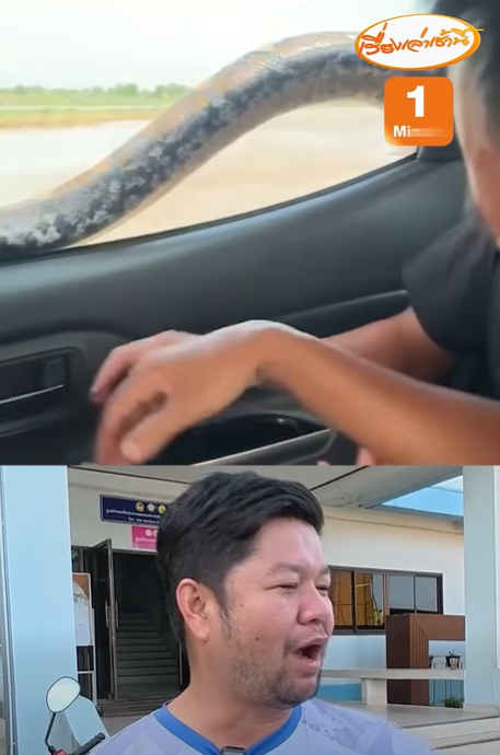 งูหลุด