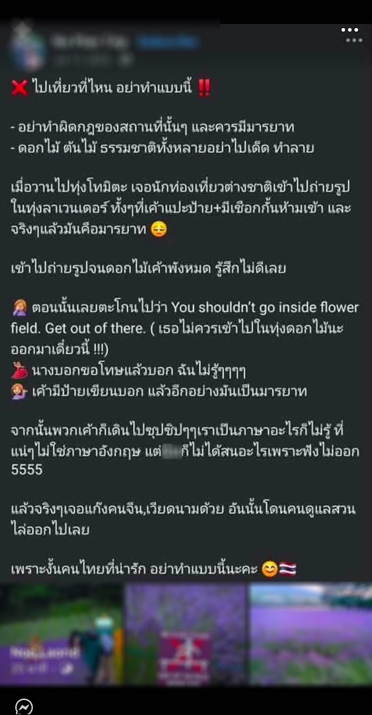 ดราม่าอินฟลูฯ ไทย นอนทับต้นไม้ญี่ปุ่น