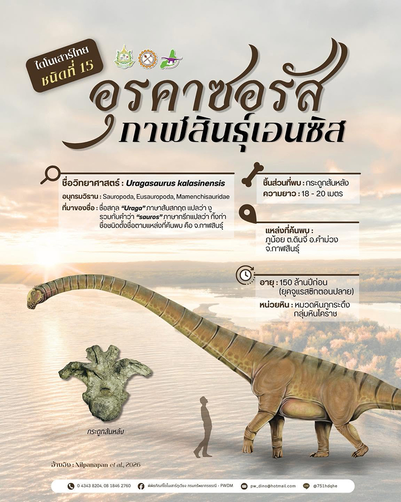 อุรคาซอรัส กาฬสินธุ์เอนซิส ไดโนเสาร์