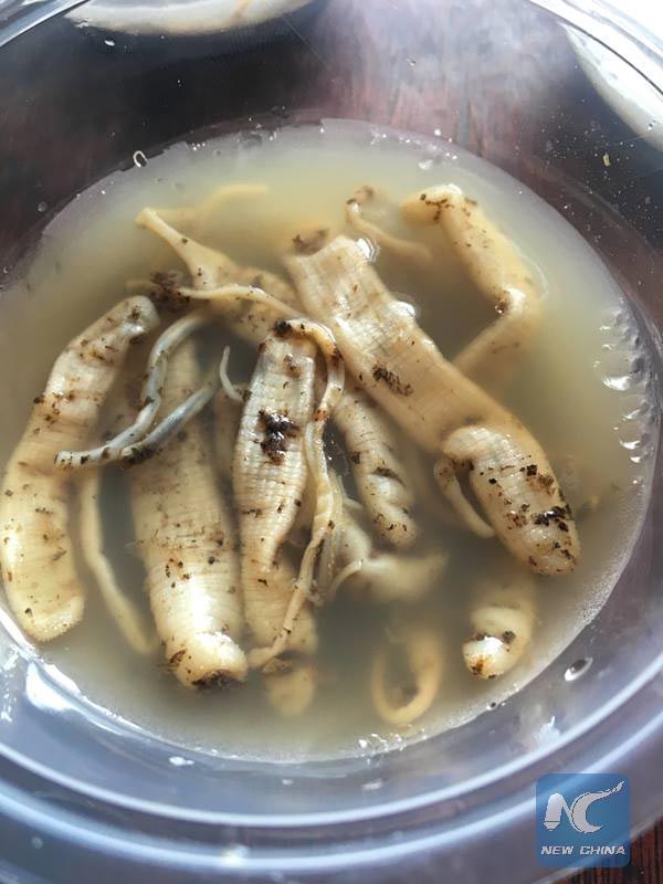 เยลลี่หนอนถั่ว