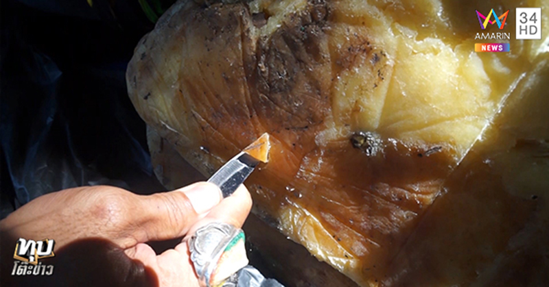 อำพันทะเล