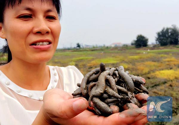 เยลลี่หนอนถั่ว