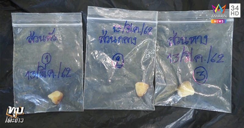 อำพันทะเล