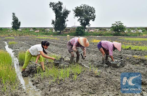 เยลลี่หนอนถั่ว