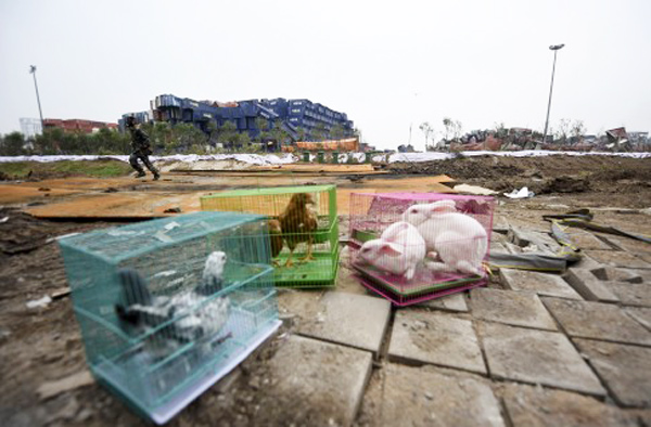 จีนใช้สัตว์ทดสอบมลพิษ หลังเกิดเหตุระเบิดเทียนจิน