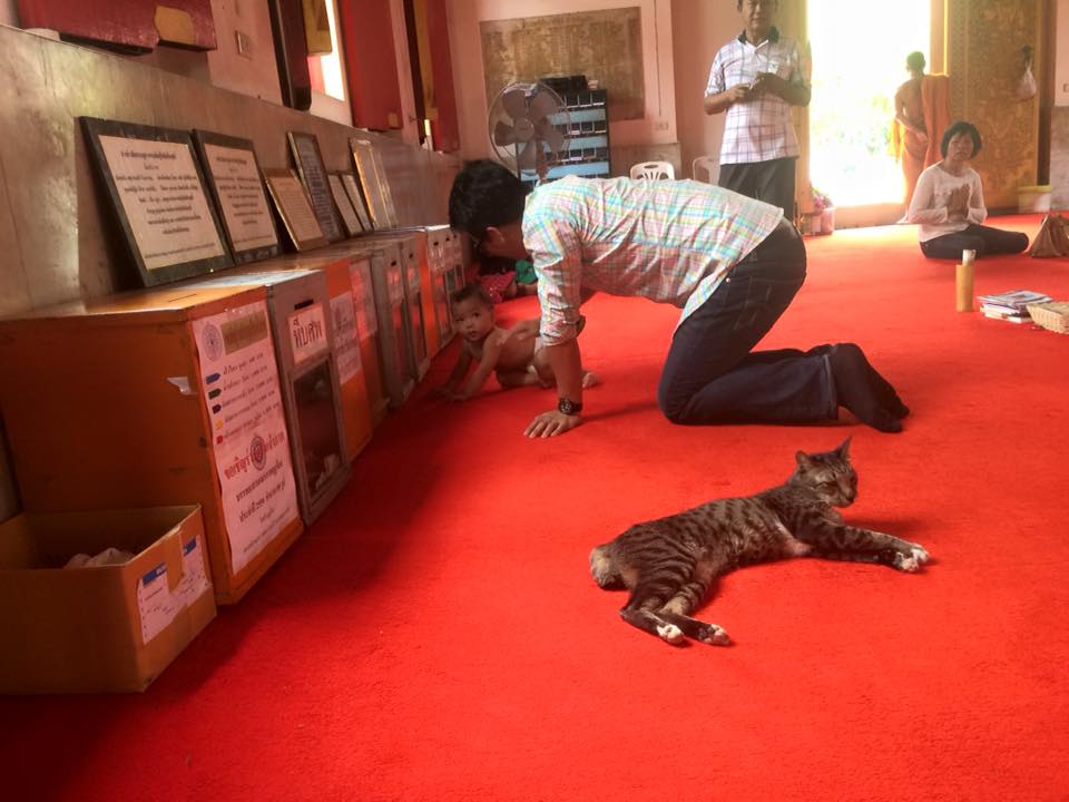 น้องแอดวานซ์