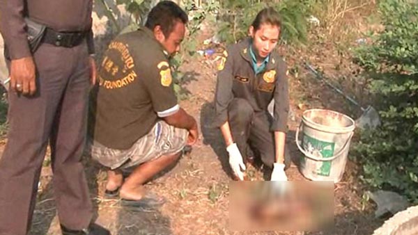 พบศพทารกแรกเกิดสภาพไร้หัว แขน-ขา หลังถูกสุนัขลากมาแทะกิน