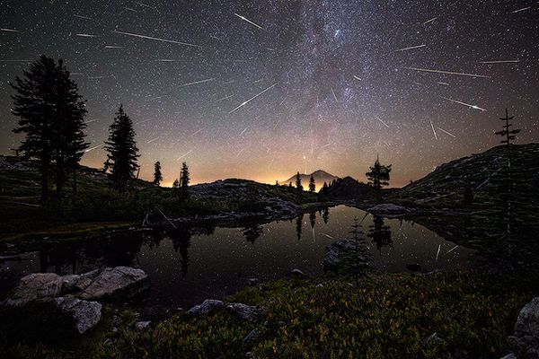 ฝนดาวตกเพอร์เซอิดส์