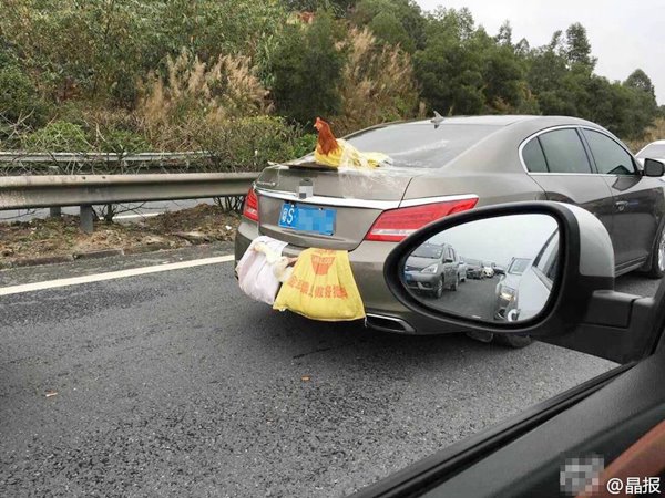 วิธีขนเป็ด-ไก่เป็น ๆ กลับบ้านหลังตรุษจีน ห้อยไว้ท้ายรถอย่างนี้เลย 