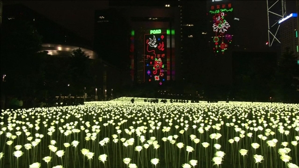 ทุ่งกุหลาบ LED ที่ฮ่องกง