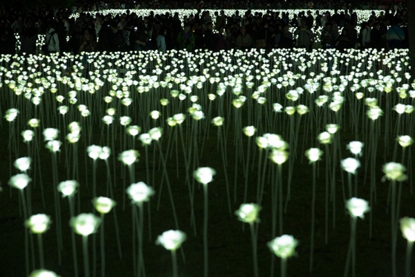 ทุ่งกุหลาบ LED ที่ฮ่องกง