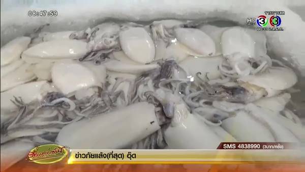 แม็คโคร สั่งเก็บกุ้งแม่น้ำทุกสาขา พร้อมแจงข่าวพบปลาหมึกวงน้ำเงิน