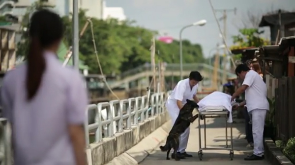 โอเลี้ยง เพื่อนที่จะอยู่กับคุณตลอดไป โอเลี้ยง เพื่อนที่จะอยู่กับคุณตลอดไป