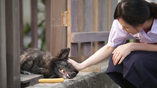 โอเลี้ยง เพื่อนที่จะอยู่กับคุณตลอดไป โอเลี้ยง เพื่อนที่จะอยู่กับคุณตลอดไป