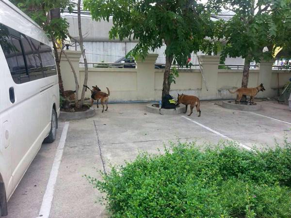 ปฏิบัติการ กบิล 59 บุกค้นวัดธรรมกาย ล่าตัวพระธัมมชโย