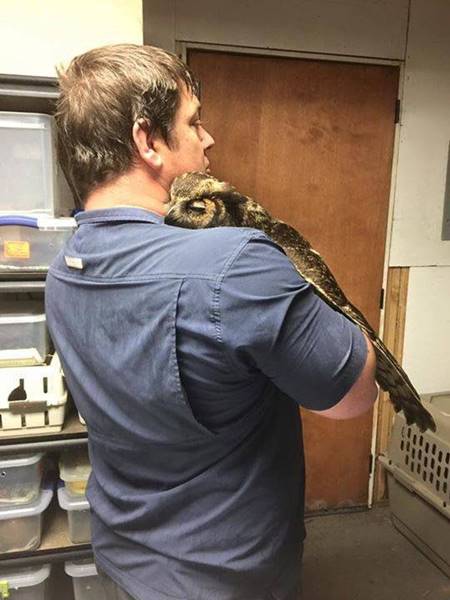 นกฮูกโผกอดชายผู้ช่วยชีวิต