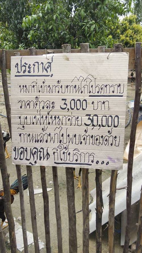 บุฟเฟ่ต์ไก่ชน