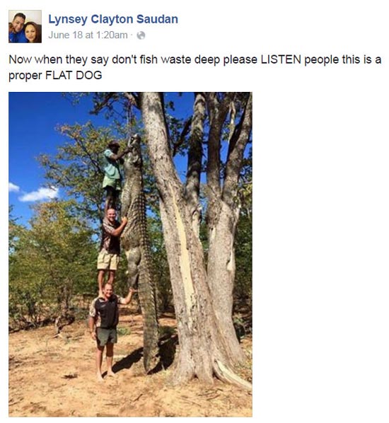 จระเข้ยักษ์