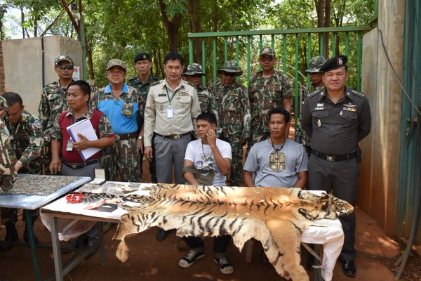 กรมอุทยานฯ ส่งซากเสือ วัดป่าหลวงตามหาบัว ให้ตำรวจ